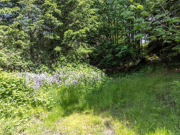 985 Maple Road, Campbell River, BC, V9W 3E9 - 58