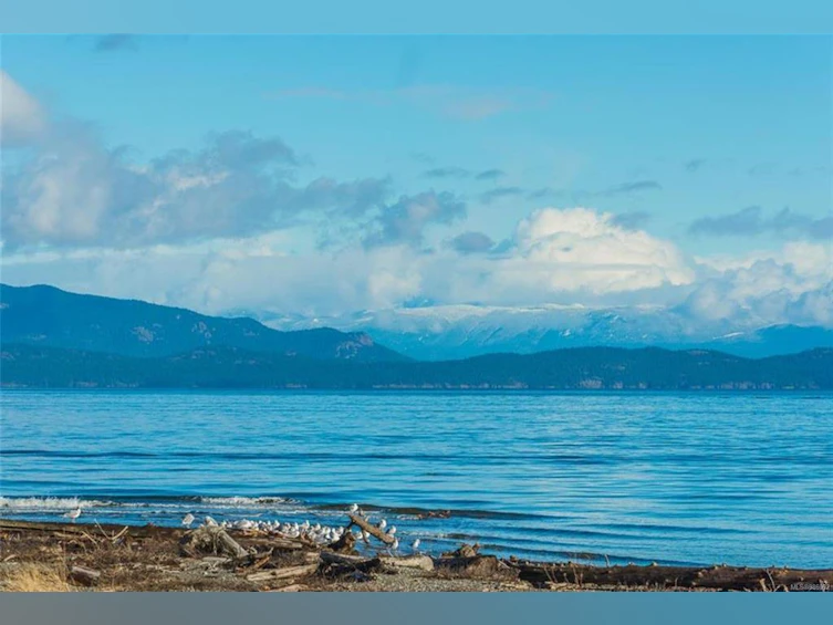 1566 Admiral Tryon Boulevard, French Creek, BC, V9P 1Y3 - 69