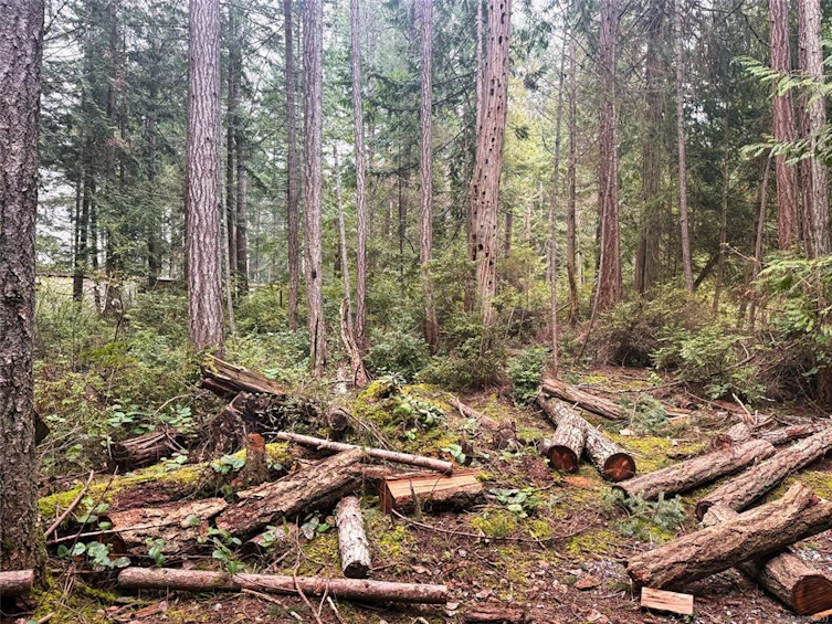 Lt 2 Taylor Bay Road, Gabriola Island, BC, V0R 1X1 - 9