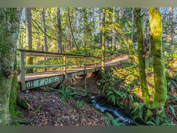 293 4th Ave Extension, Ladysmith, BC, V9G 2B7 - 31