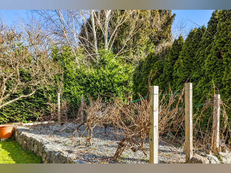 1023 Falkland Road, Oak Bay, BC, V8X 2S9 - 37