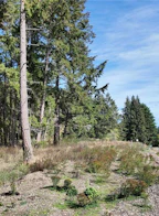 Lot 4 Wildwood Drive