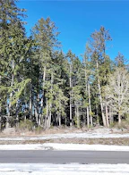 Lot 3 Wildwood Drive
