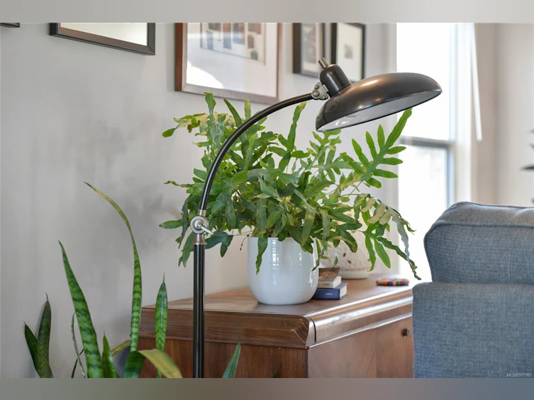 2715 Asquith Street, Victoria, BC, V8R 3Y6 - 4