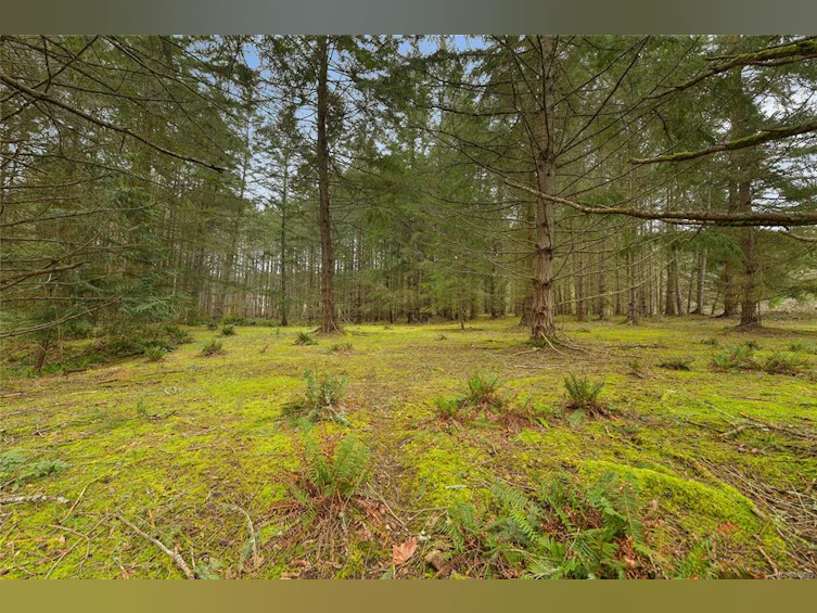 281 Merryman Drive, Mayne Island, BC, V0N 2J2 - 5