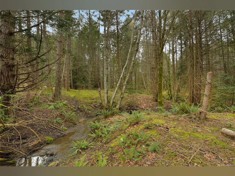 281 Merryman Drive, Mayne Island, BC, V0N 2J2 - 11