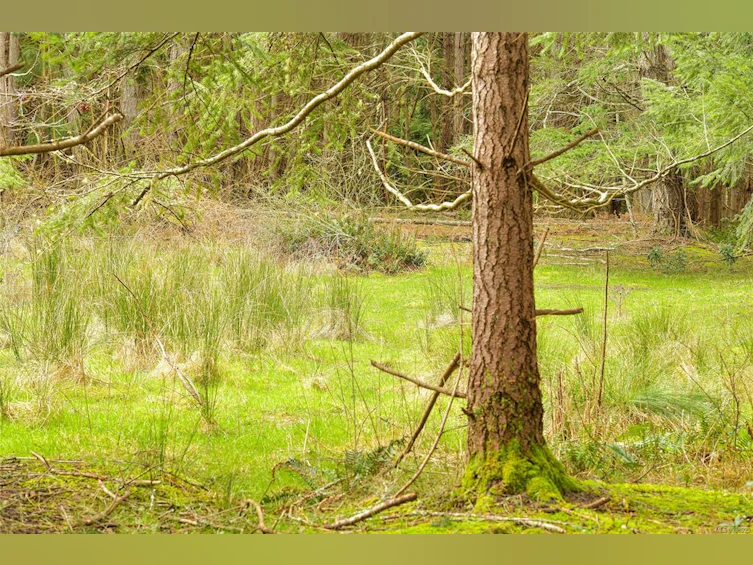 281 Merryman Drive, Mayne Island, BC, V0N 2J2 - 14