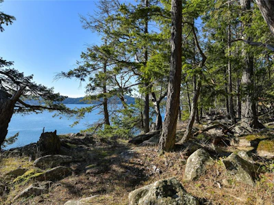 Lot A Beechwood Drive - 2