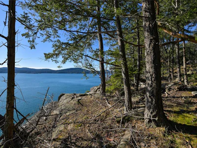 Lot A Beechwood Drive - 4