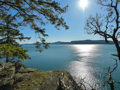 Lot A Beechwood Drive - 5
