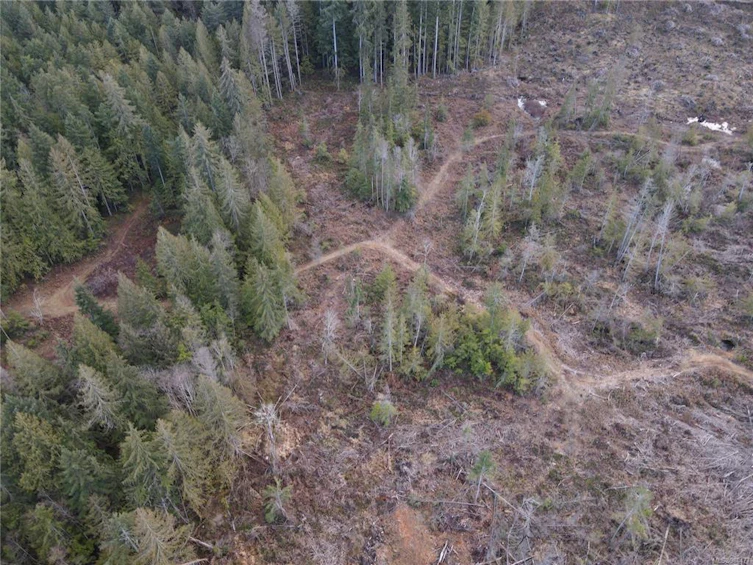 Lot C Ryan Road, Hilliers, BC, V9K 1X9 - 2