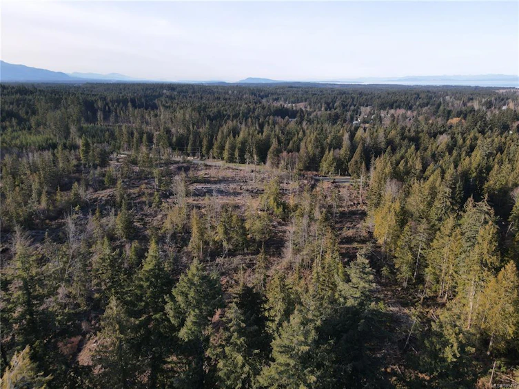 Lot C Ryan Road, Hilliers, BC, V9K 1X9 - 5