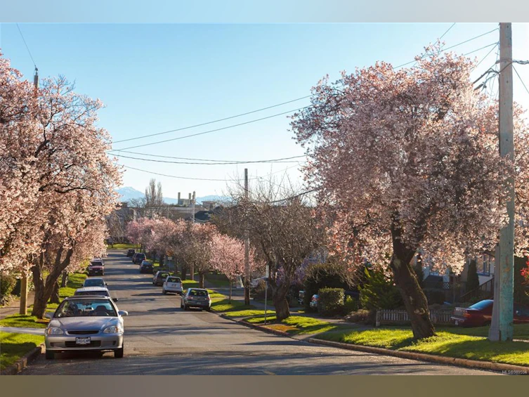 335 Moss Street, Victoria, BC, V8V 4M9 - 32