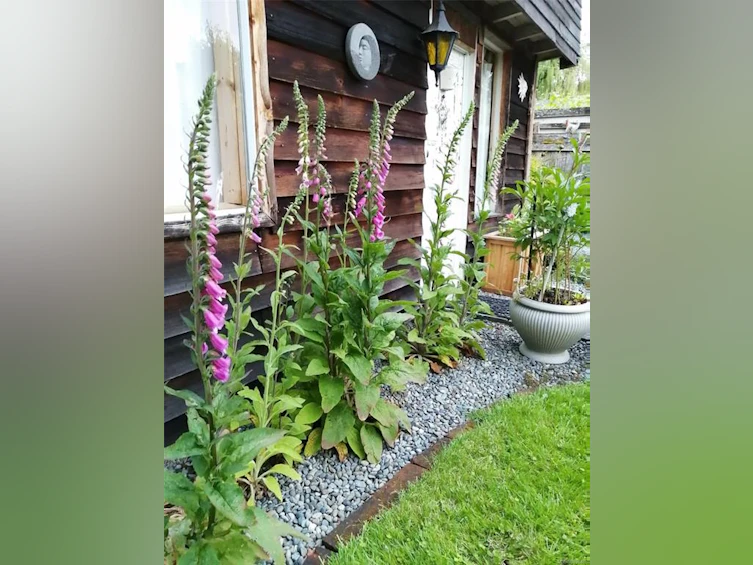 162 Beech Avenue, Duncan, BC, V9L 3J2 - 34