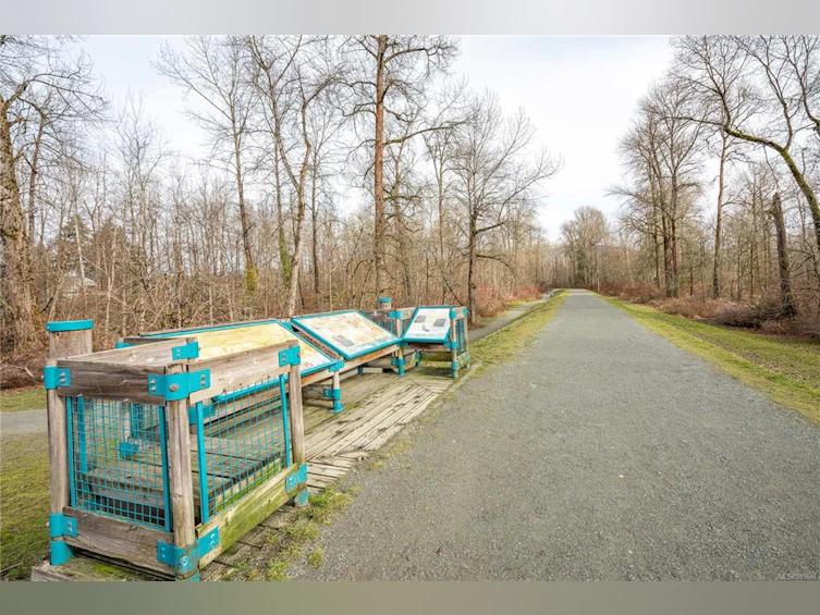 162 Beech Avenue, Duncan, BC, V9L 3J2 - 52
