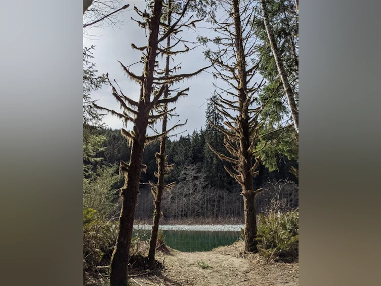 NE1/4SEC15 Gordon River Road, Sooke, BC, V0S 1K0 - 3