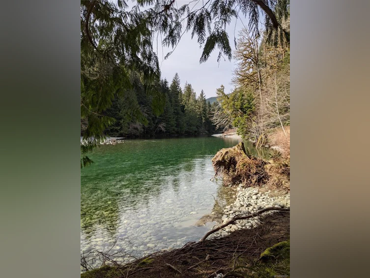 NE1/4SEC15 Gordon River Road, Sooke, BC, V0S 1K0 - 6