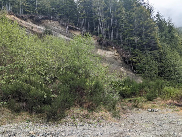 NE1/4SEC15 Gordon River Road, Sooke, BC, V0S 1K0 - 8