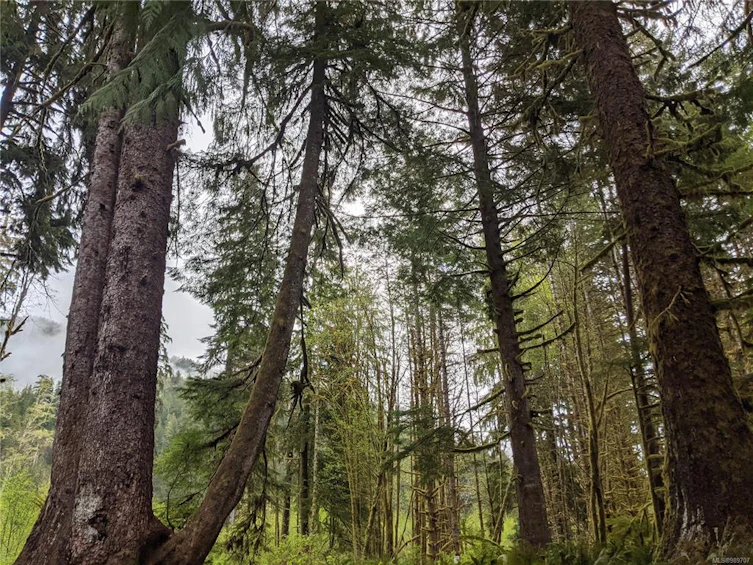 NE1/4SEC15 Gordon River Road, Sooke, BC, V0S 1K0 - 14