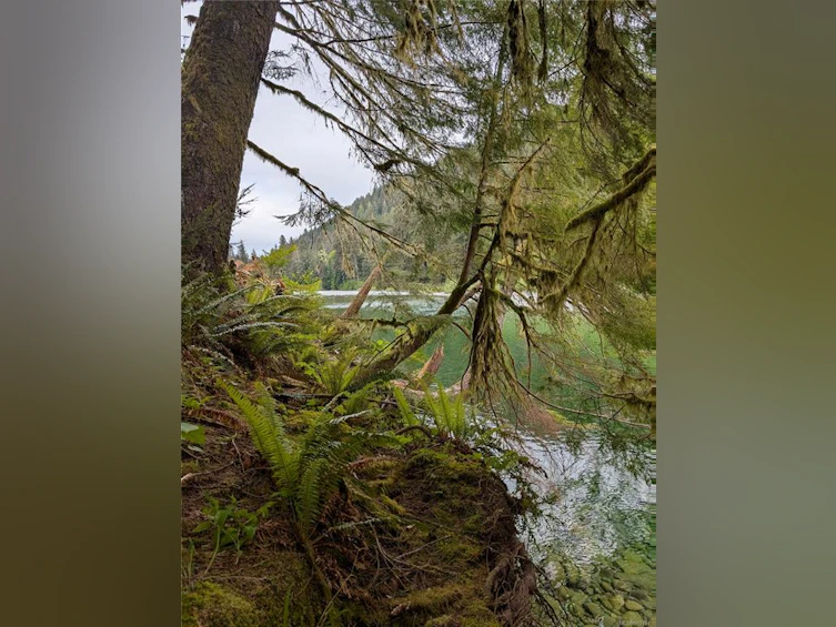 NE1/4SEC15 Gordon River Road, Sooke, BC, V0S 1K0 - 56