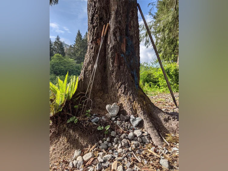 NE1/4SEC15 Gordon River Road, Sooke, BC, V0S 1K0 - 21