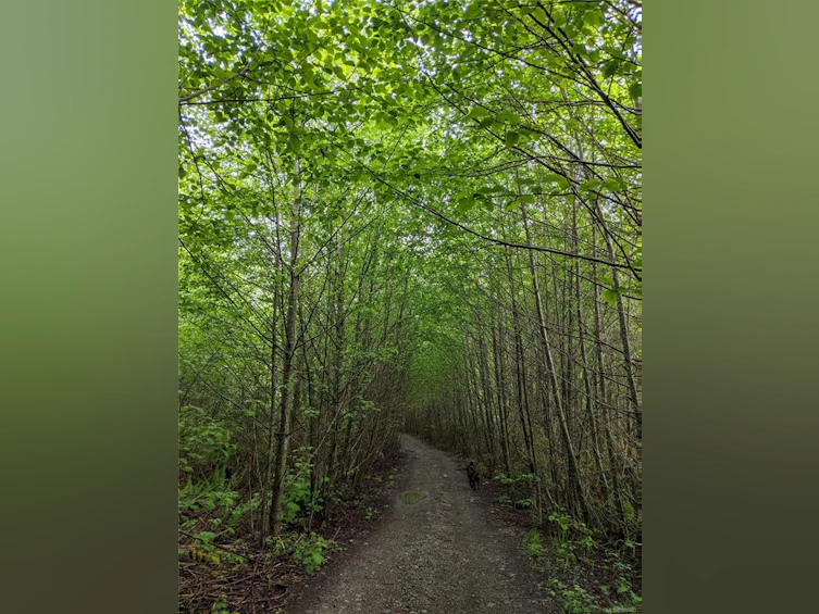 NE1/4SEC15 Gordon River Road, Sooke, BC, V0S 1K0 - 31