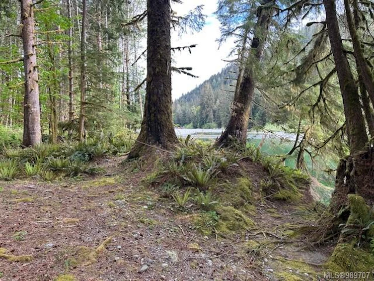 NE1/4SEC15 Gordon River Road, Sooke, BC, V0S 1K0 - 45