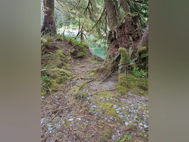 NE1/4SEC15 Gordon River Road, Sooke, BC, V0S 1K0 - 54