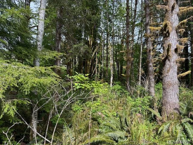 NE1/4SEC15 Gordon River Road, Sooke, BC, V0S 1K0 - 49