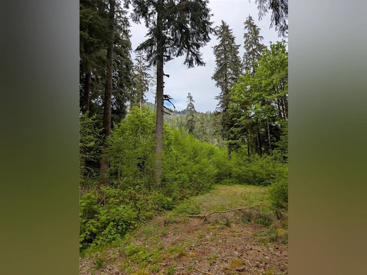 NE1/4SEC15 Gordon River Road, Sooke, BC, V0S 1K0 - 58