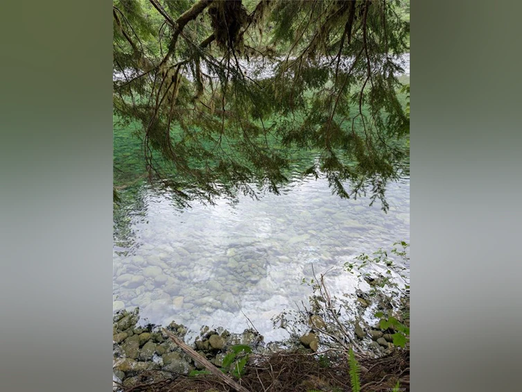 NE1/4SEC15 Gordon River Road, Sooke, BC, V0S 1K0 - 52
