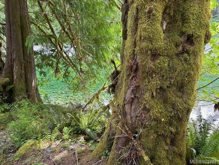 NE1/4SEC15 Gordon River Road, Sooke, BC, V0S 1K0 - 44