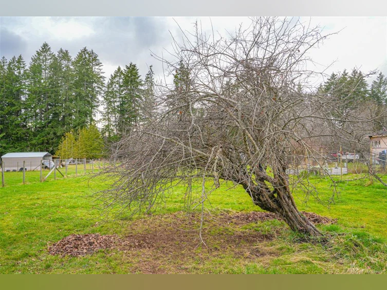 5780 Grandview Road, Port Alberni, BC, V9Y 8V9 - 53