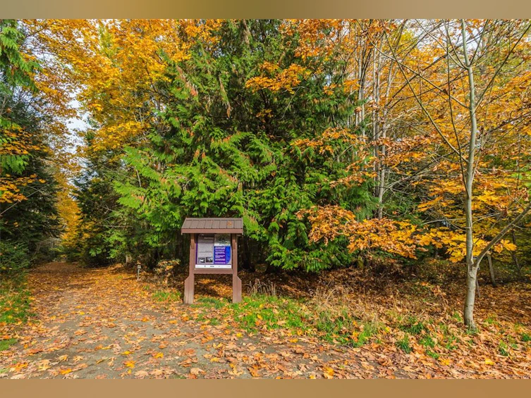 15-161 Shelly Road, Parksville, BC, V9P 2H8 - 14