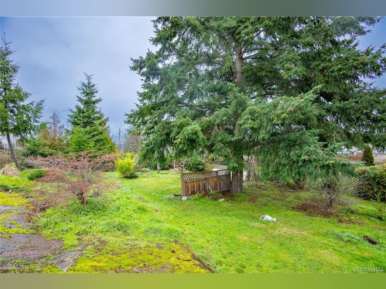 676 Pine Street, Nanaimo, BC, V9R 2C8 - 20
