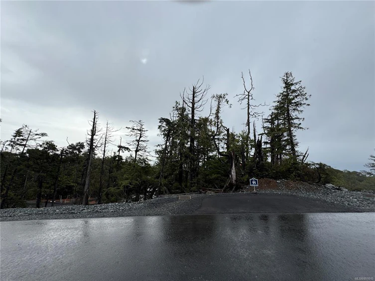 Lot 91 Shore Pine Drive, Ucluelet, BC, V0R 3A0 - 2