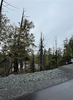 Lot 92 Shore Pine Drive