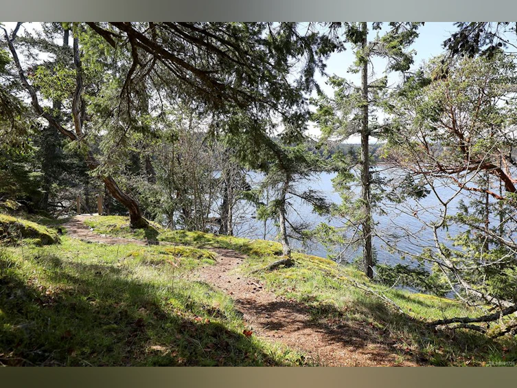 1735 Claudet Road, Nanoose, BC, V9P 9B3 - 51