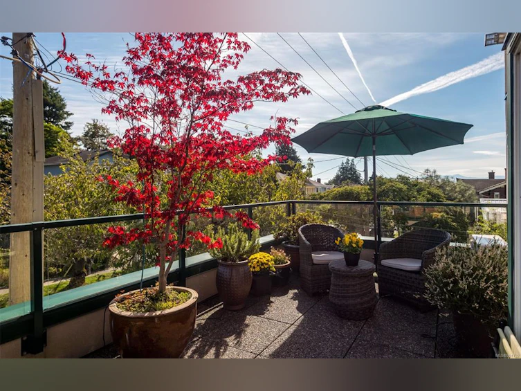 201-364 Moss Street, Victoria, BC, V8V 4N1 - 7
