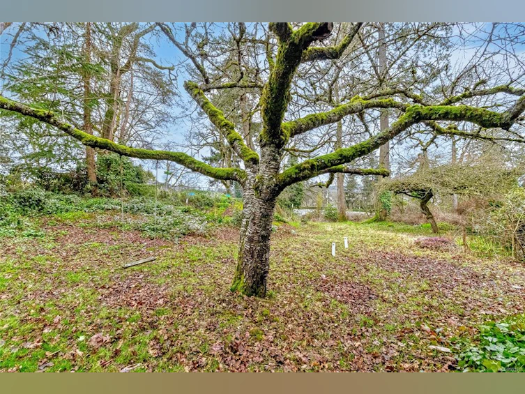 Lot N W Burnside Road, Saanich, BC, V8Z 1N4 - 3