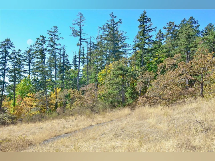Lot N W Burnside Road, Saanich, BC, V8Z 1N4 - 18