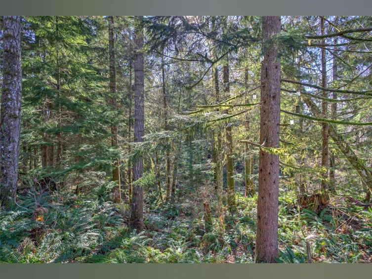 9205 Nighthawk Road, Lake Cowichan, BC, V0R 2G0 - 42