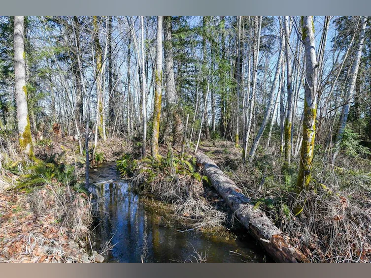 2500 Brookswood Place, Courtenay, BC, V9N 9M7 - 7