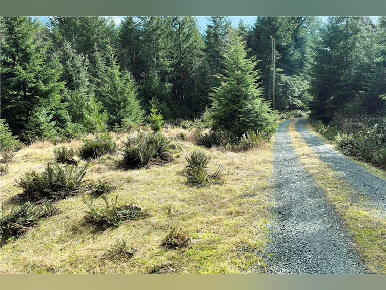 LOT 4-2140 Hyacinthe Bay Road, Quadra Island, BC, V0P 1H0 - 2