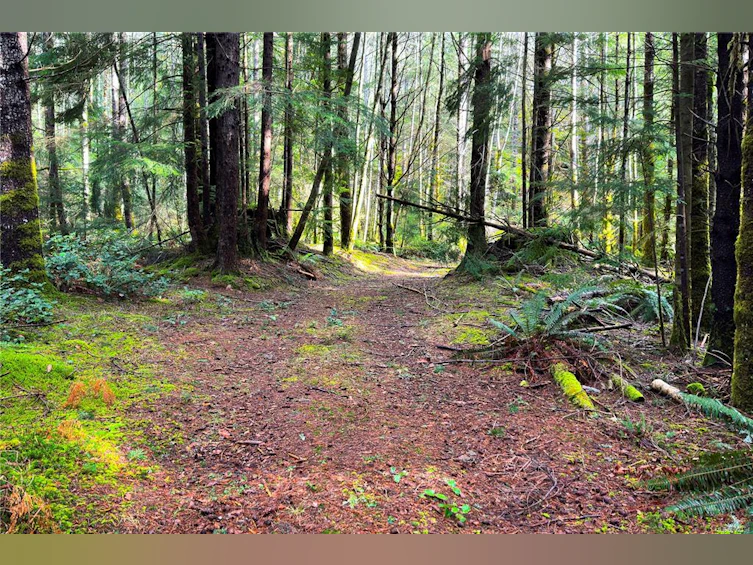LOT 4-2140 Hyacinthe Bay Road, Quadra Island, BC, V0P 1H0 - 4