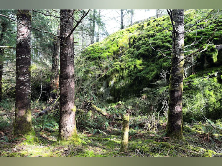 LOT 4-2140 Hyacinthe Bay Road, Quadra Island, BC, V0P 1H0 - 6