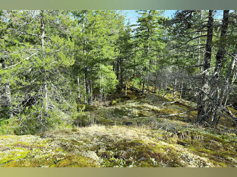 LOT 4-2140 Hyacinthe Bay Road, Quadra Island, BC, V0P 1H0 - 7