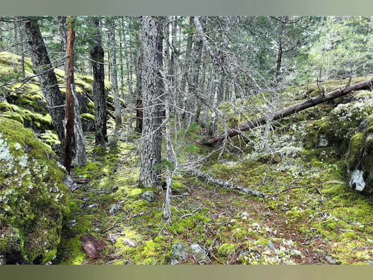 LOT 4-2140 Hyacinthe Bay Road, Quadra Island, BC, V0P 1H0 - 8