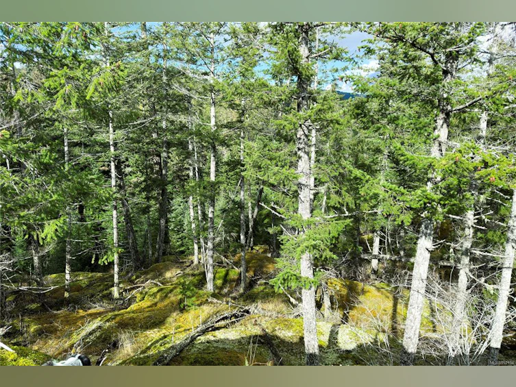 LOT 4-2140 Hyacinthe Bay Road, Quadra Island, BC, V0P 1H0 - 13