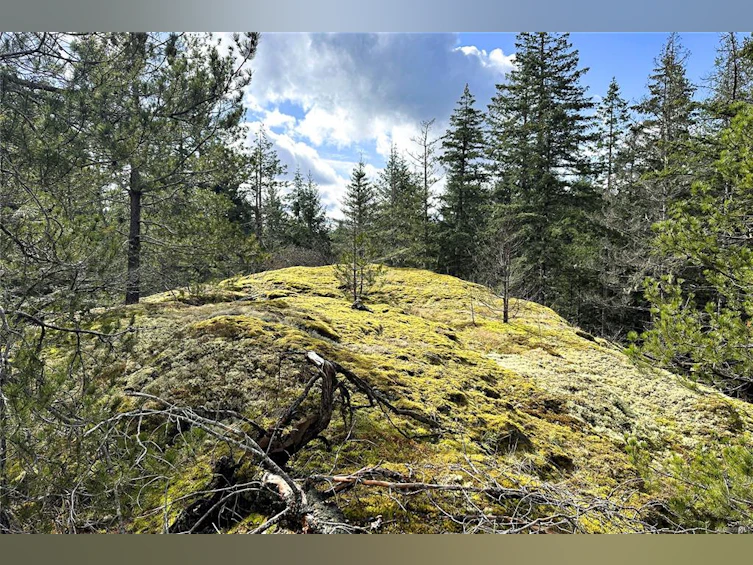 LOT 4-2140 Hyacinthe Bay Road, Quadra Island, BC, V0P 1H0 - 14